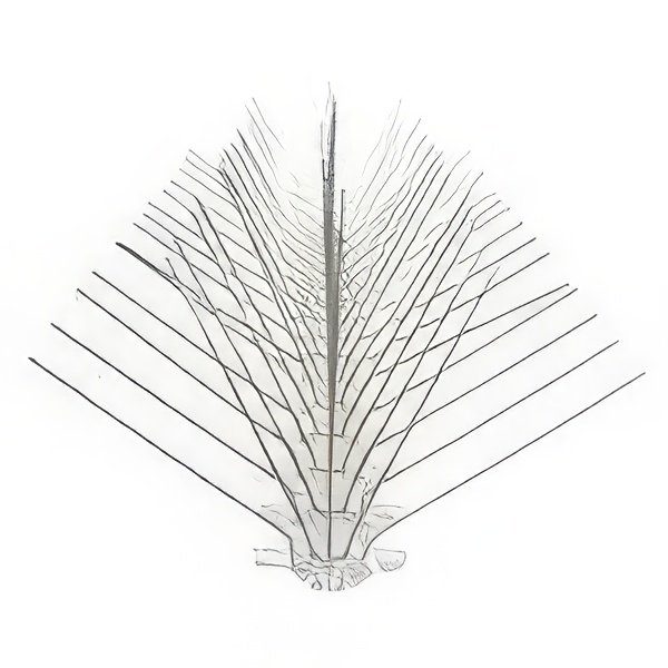 طارد حمام بلاستك 5 خط ×60سم ×75شوكه